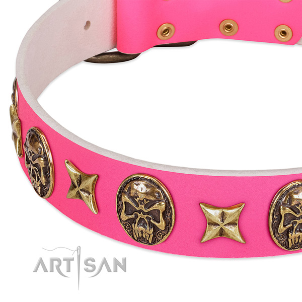 Full grain genuine leather dog collar with awesome studs