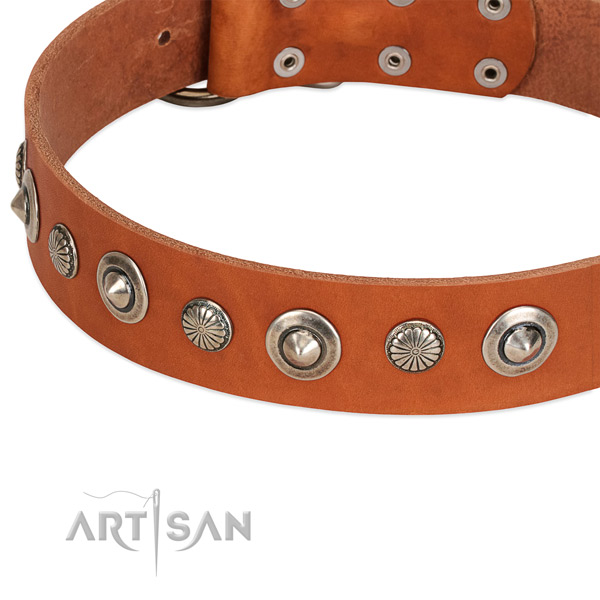 Genuine leather collar with durable D-ring for your handsome dog