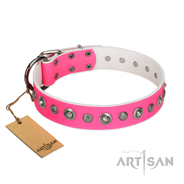 Strong full grain genuine leather dog collar with trendy embellishments