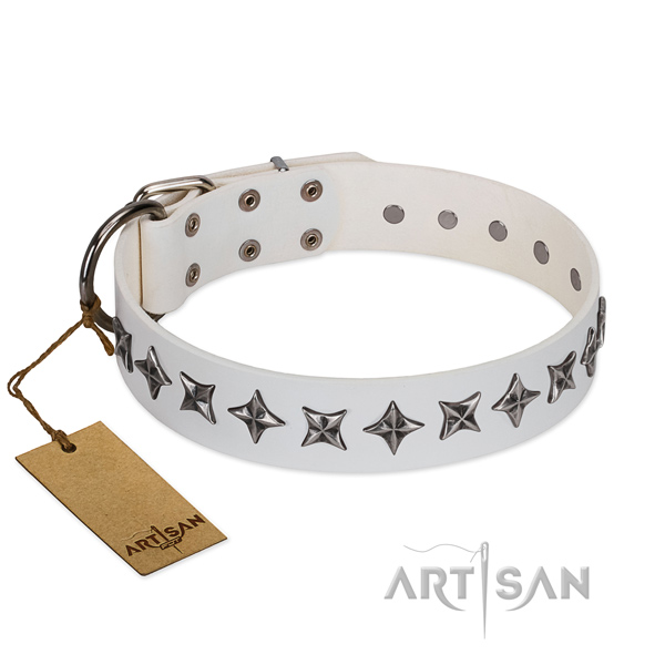Everyday use dog collar of fine quality full grain genuine leather with embellishments