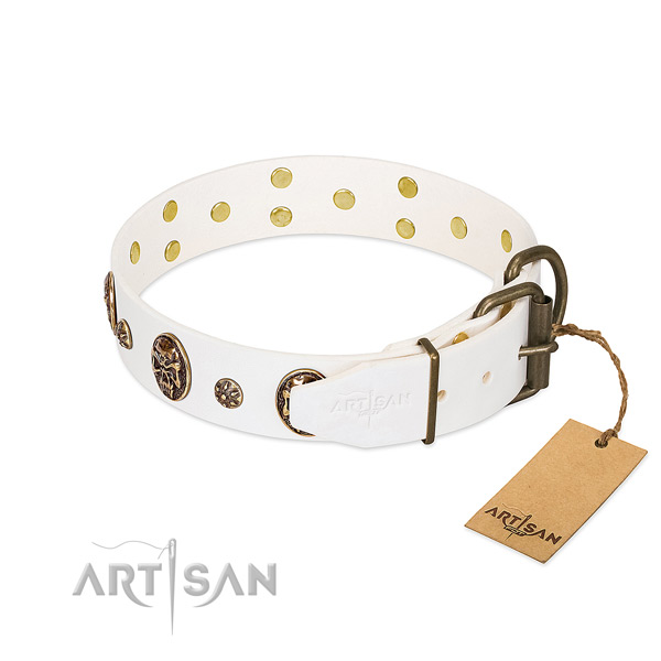 Rust-proof embellishments on natural genuine leather dog collar for your four-legged friend