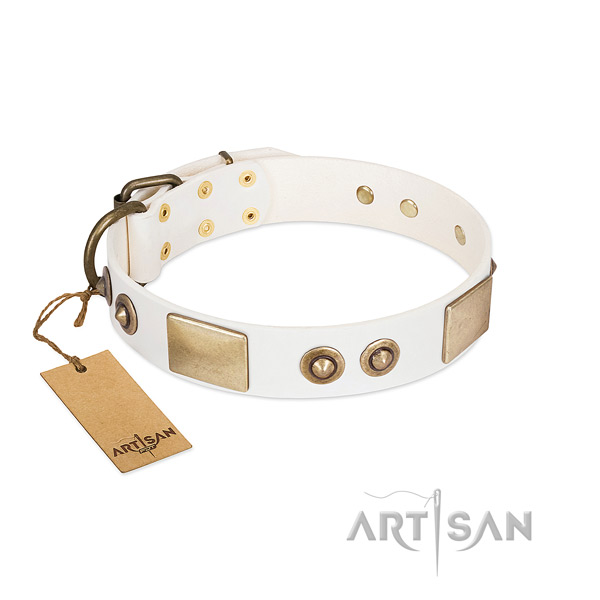 Rust-proof hardware on natural genuine leather dog collar for your dog