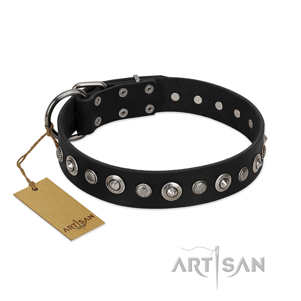 Quality full grain leather dog collar with unique decorations