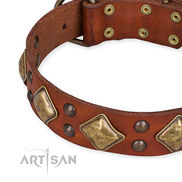 Full grain leather collar with reliable fittings for your impressive canine