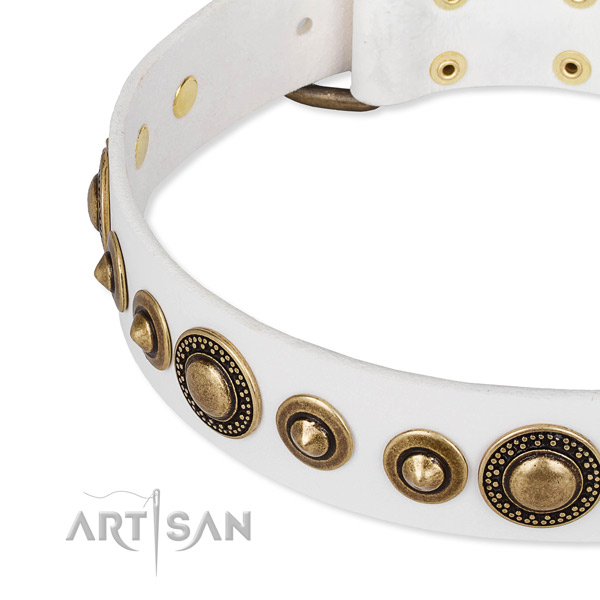 Soft to touch genuine leather dog collar crafted for your lovely dog