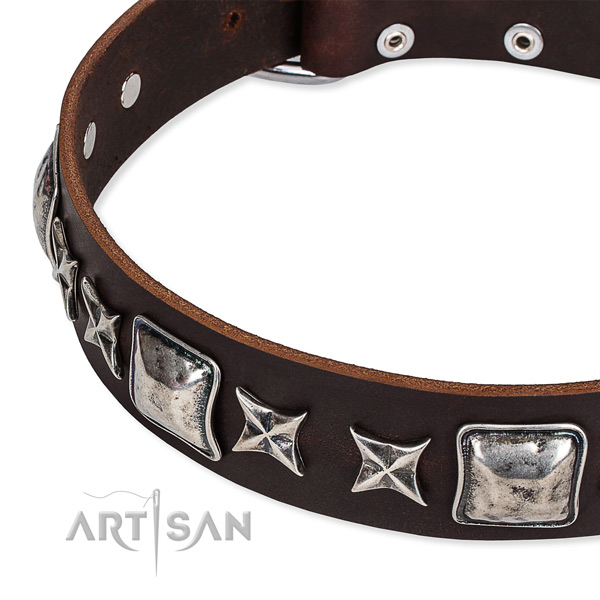 Everyday use studded dog collar of best quality full grain leather