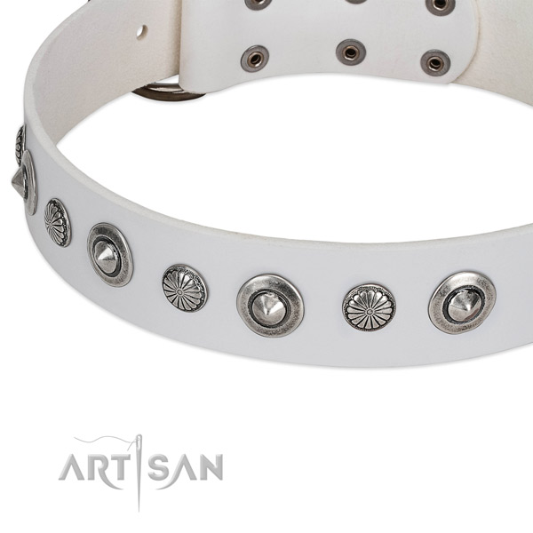 Genuine leather collar with durable traditional buckle for your handsome four-legged friend