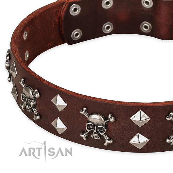 Basic training embellished dog collar of top quality leather