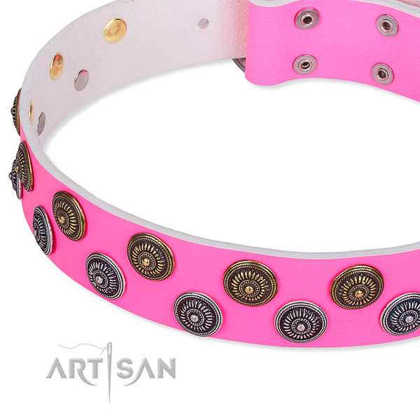 Comfortable wearing studded dog collar of reliable natural leather