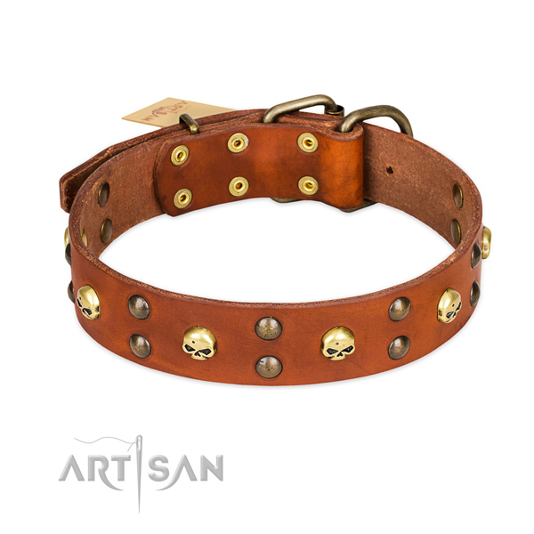 Handy use dog collar of strong leather with adornments