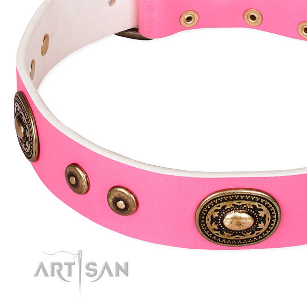 Full grain natural leather dog collar made of reliable material with adornments