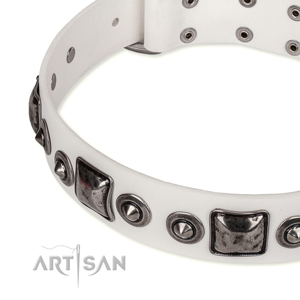 Top rate leather dog collar crafted for your attractive doggie