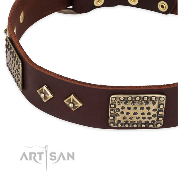 Reliable fittings on full grain natural leather dog collar for your four-legged friend