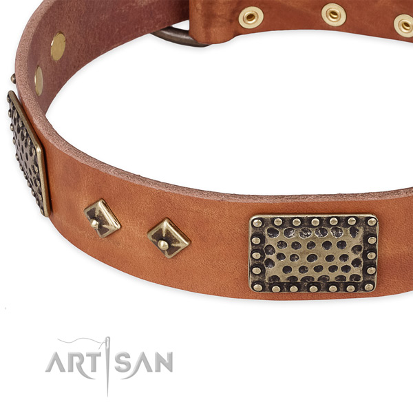 Strong studs on full grain leather dog collar for your canine