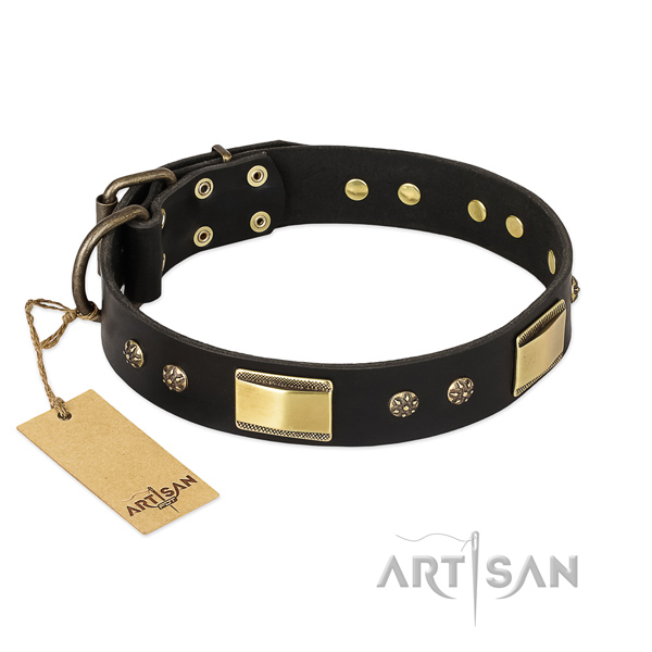 Best quality full grain leather collar for your four-legged friend