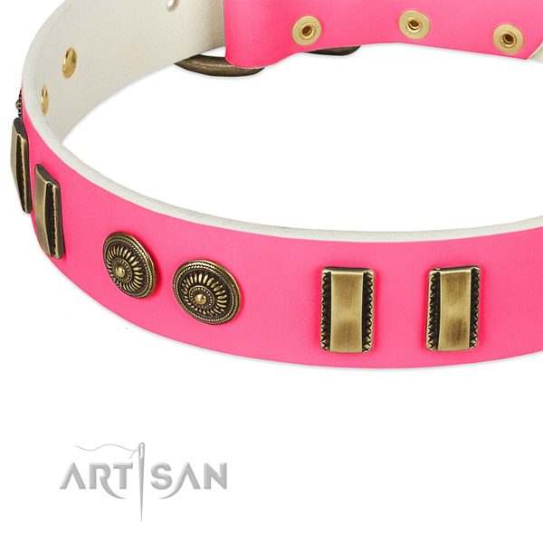 Durable fittings on leather dog collar for your canine