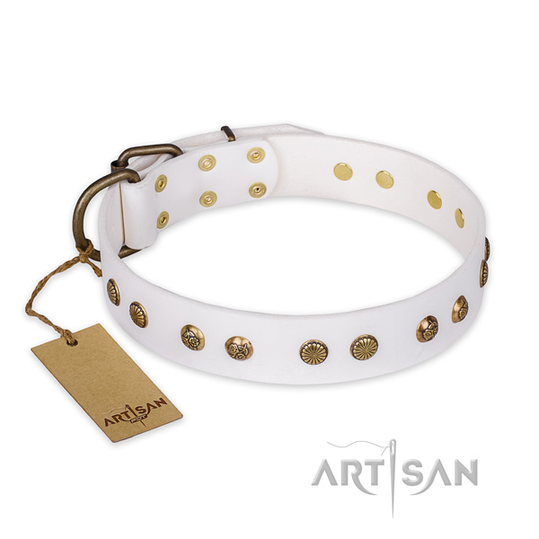 Impressive full grain natural leather dog collar with rust resistant hardware