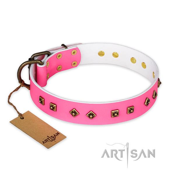 Remarkable full grain natural leather dog collar with strong fittings