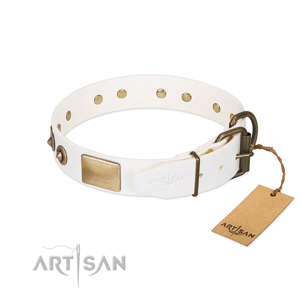 Durable traditional buckle on full grain leather dog collar for your pet