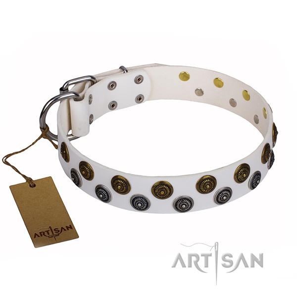 Handy use dog collar of finest quality full grain leather with decorations