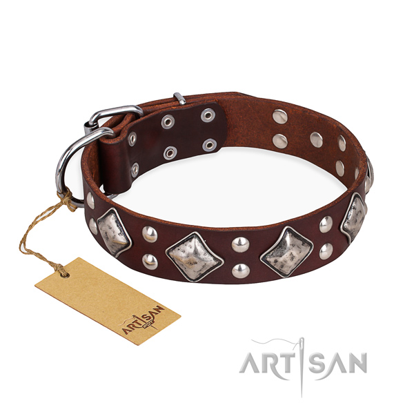 Everyday use stylish design dog collar with corrosion resistant hardware
