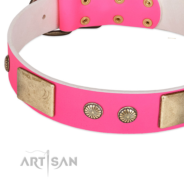 Rust resistant embellishments on full grain genuine leather dog collar for your pet