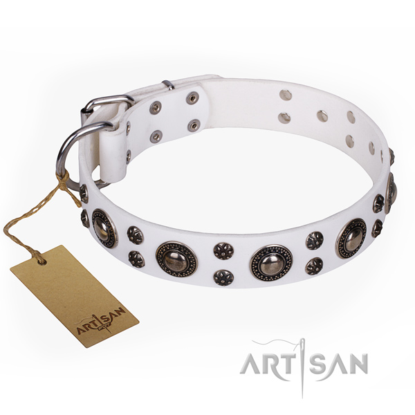 Everyday walking dog collar of durable leather with embellishments