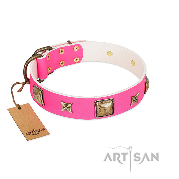 Natural leather dog collar of top rate material with inimitable adornments