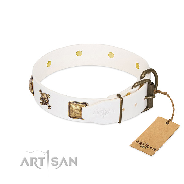 Daily walking full grain leather dog collar with unique adornments