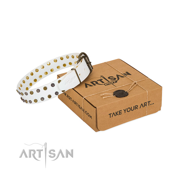 Extraordinary full grain genuine leather dog collar with corrosion proof studs