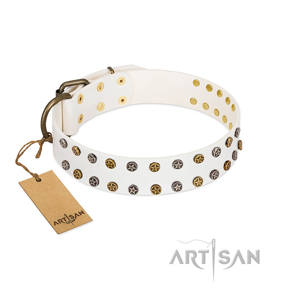 Designer natural leather dog collar with rust-proof adornments