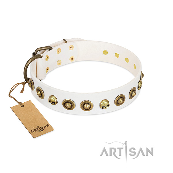 Genuine leather collar with designer studs for your canine