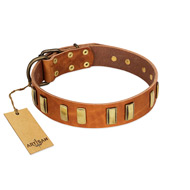 "Olive Slice" FDT Artisan Tan Leather dog Collar with Engraved and Smooth Plates