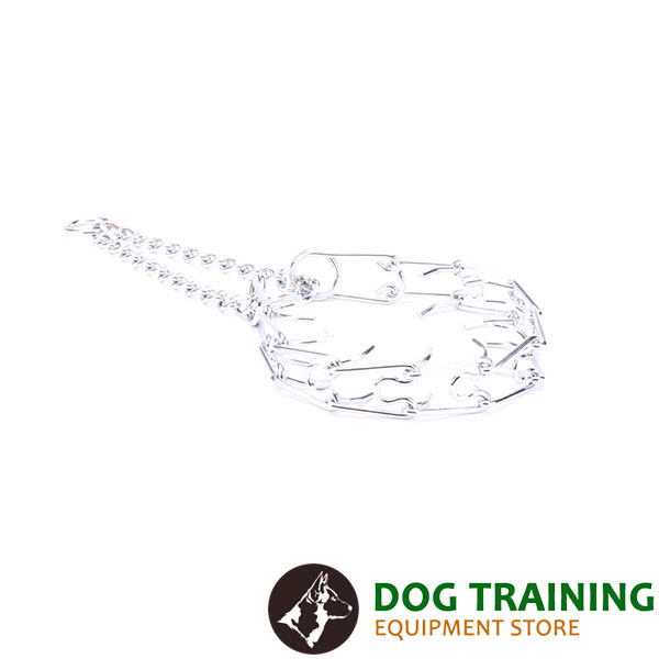 Chrome plated steel dog pinch collar for badly behaved dogs