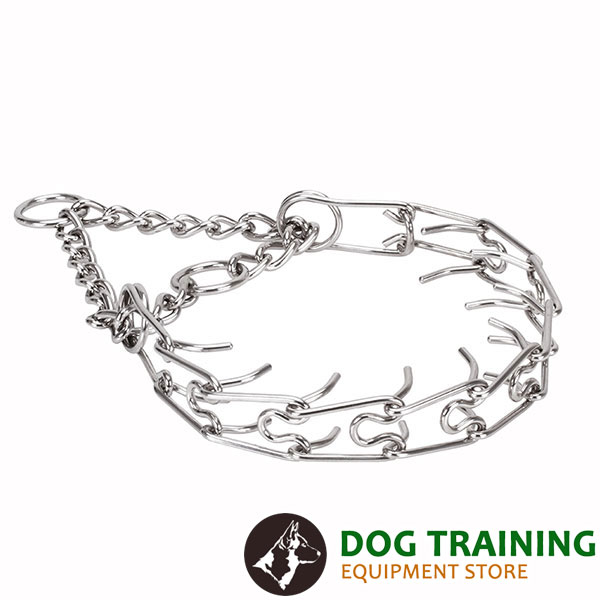 Pinch collar of strong stainless steel for badly behaved canines