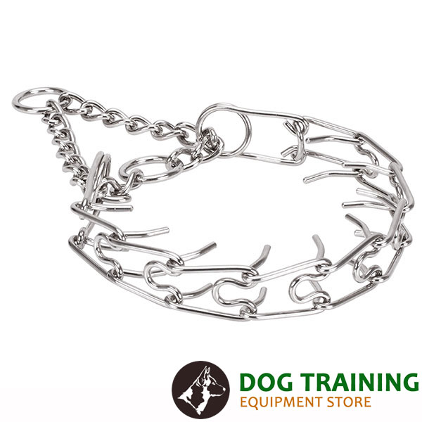 Strong corrosion proof dog prong collar with stainless steel removable links