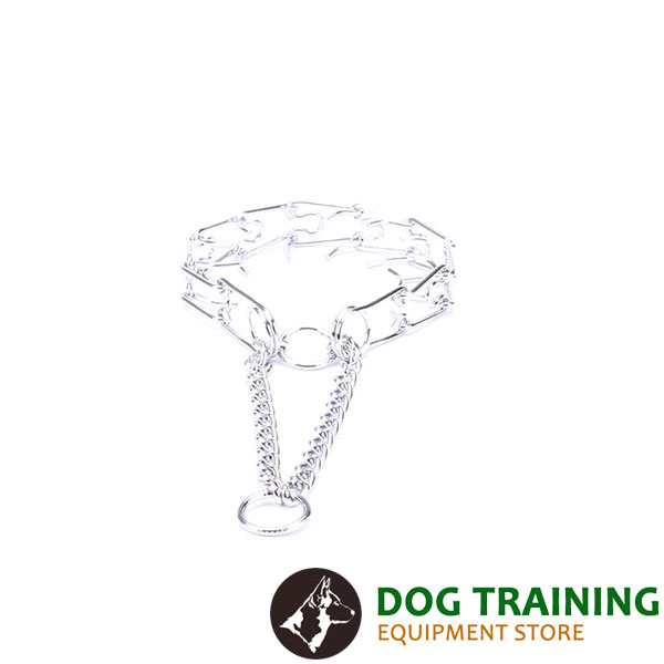 Dog prong collar chrome plated for poorly behaved dogs