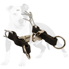 Durable steel pinch dog collar chrome plated