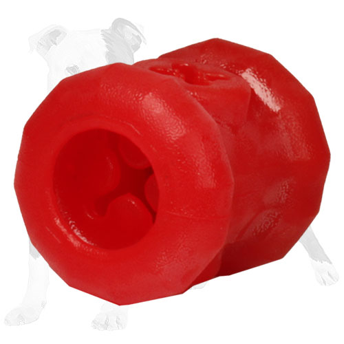 Perfect for dental hygiene food dispenser
