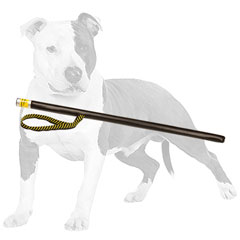 Strong agitation training dog stick