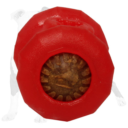Extra durable dog chewing toy 