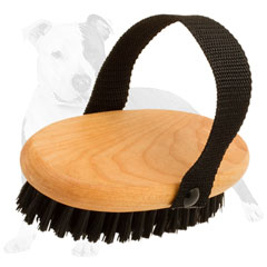 Wooden dog brush for grooming