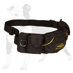 Comfortable nylon dog bag