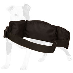 Nylon dog bag with adjustable belt