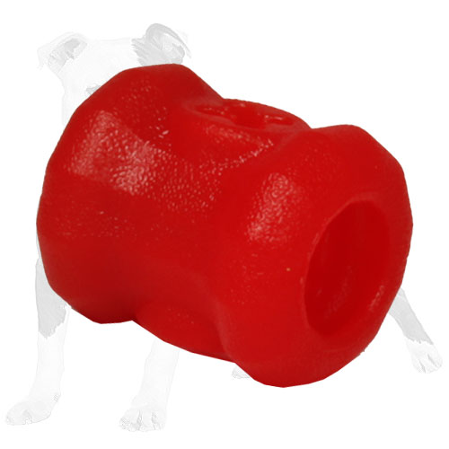 Perfect for dental hygiene food dispenser