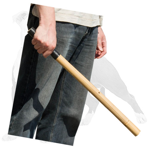 Reliable agitation training dog stick