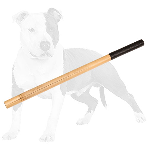 Noisy bamboo dog stick for training