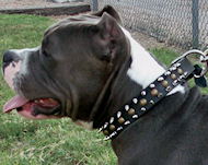 Spiked and Studded Leather Dog Collar