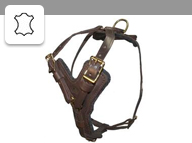 Leather harnesses
