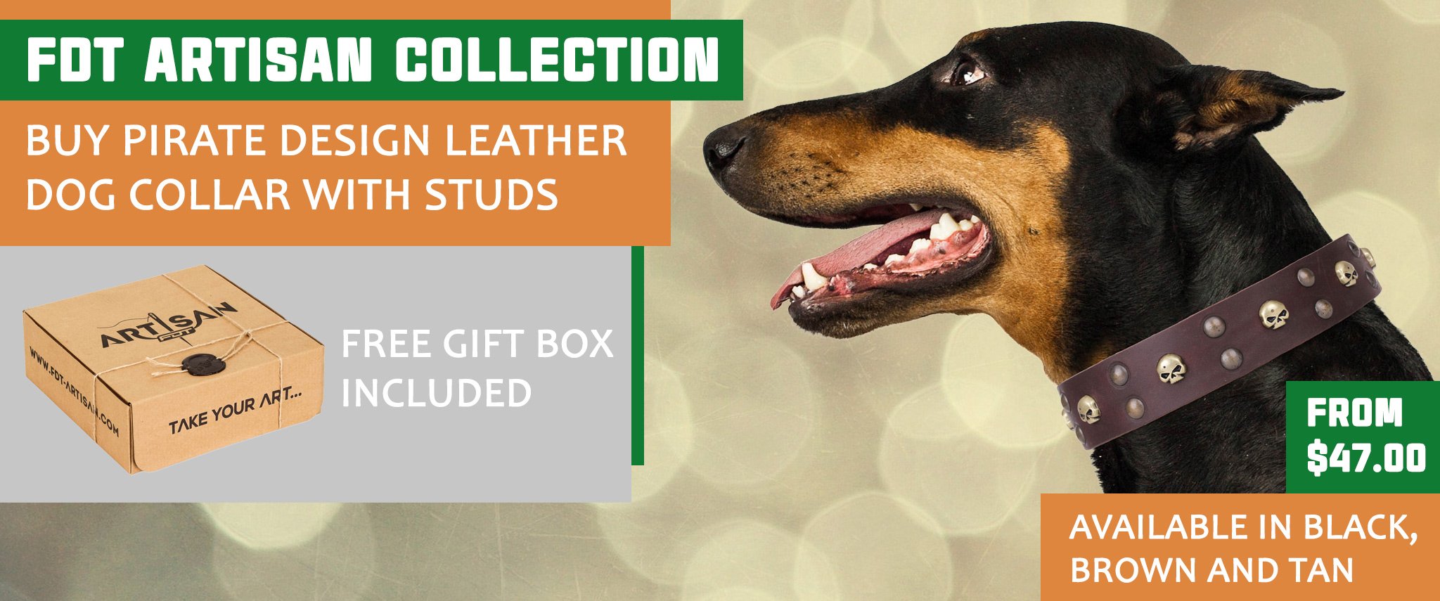 Dog training equipment